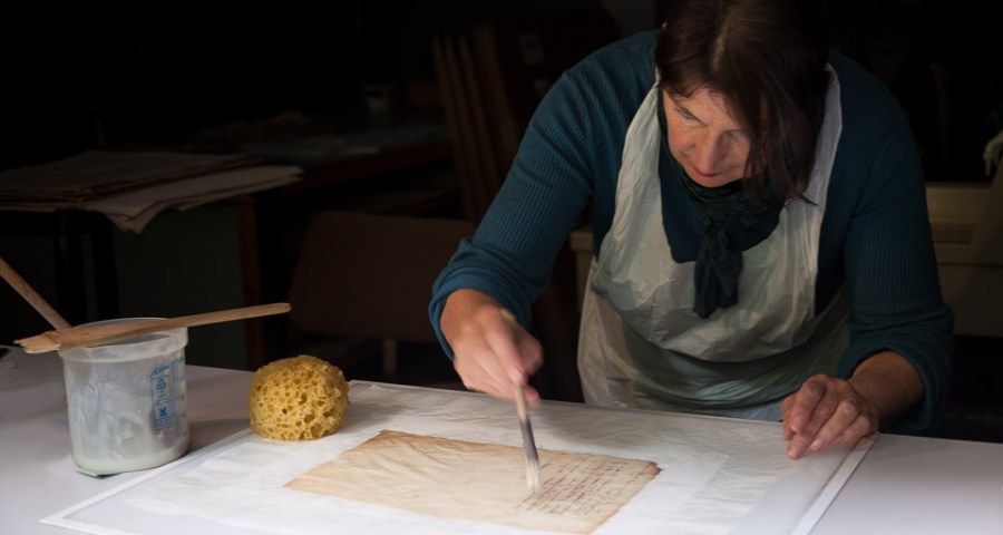 A volunteer working in conservation